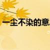 一尘不染的意思怎么解释（一尘不染的意思）