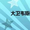 大卫韦斯特历史专业（大卫韦斯特）