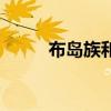 布岛族和长颈族的区别（布岛族）