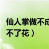 仙人掌做不成花是什么意思（仙人掌为什么做不了花）