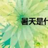 暑天是什么时候开始算起（暑天）