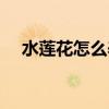 水莲花怎么养盆栽水培（水莲花怎么养）