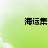 海运集装箱查询（海运集装箱）