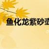 鱼化龙紫砂壶名家排名（紫砂壶名家排名）