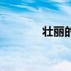 壮丽的意思是（壮丽的意思）