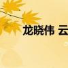 龙晓伟 云南经济管理学院（龙晓伟）