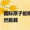 国际原子能机构总干事：乌克兰核安全局势仍然脆弱