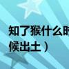 知了猴什么时候出土可捕捉到（知了猴什么时候出土）
