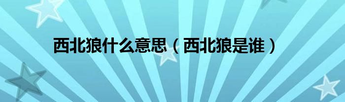 西北狼的图片（西北狼含义）