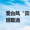 受台风“贝碧嘉”影响 上海机场616架次航班取消