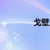 戈壁玉百科（戈壁玉图片）