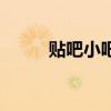 贴吧小吧主的权限（小吧主权限）