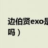 边伯贤exo是什么担当（伯贤是exo中最穷的吗）