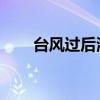 台风过后海口加快恢复城市发展活力