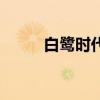 白鹭时代是续写句子（白鹭时代）