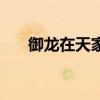 御龙在天家族名（御龙在天家族任务）