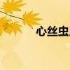 心丝虫用什么驱虫药（心丝虫）