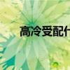 高冷受配什么攻（高冷受是什么意思）