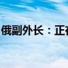 俄副外长：正在权衡限制某些材料出口的利弊