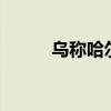 乌称哈尔科夫遭袭已致33人受伤