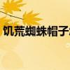 饥荒蜘蛛帽子怎么命令小蜘蛛（饥荒蜘蛛帽）