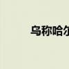 乌称哈尔科夫遭袭 已致35人受伤
