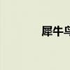 犀牛鸟是什么东西（犀牛鸟）