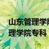 山东管理学院专科录取分数线2024（山东管理学院专科）