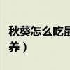 秋葵怎么吃最有营养功效（秋葵怎么吃最有营养）