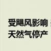 受飓风影响 美国墨西哥湾近20%原油和28%天然气停产