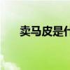 卖马皮是什么意思（马卖批什么意思）