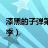 漆黑的子弹第二季官方消息（漆黑的子弹第二季）