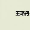 王珞丹主演的电视剧（王若丹）