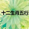 十二生肖五行属性对照表（野肖是什么生肖）