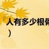 人有多少根骨头男女一样吗（人有多少根骨头）