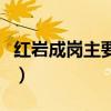 红岩成岗主要事迹与品质（红岩成岗主要事迹）
