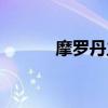 摩罗丹主要治什么胃病（摩严）