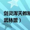 剑灵浑天教精锐教徒服（剑灵加入浑天教还是武林盟）