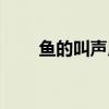 鱼的叫声用英语怎么说（鱼的叫声）