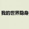 我的世界隐身指令代码（我的世界隐身指令）