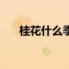 桂花什么季节开花（桂花什么季节开）