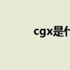 cgx是什么意思（cgx什么意思）