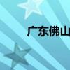 广东佛山一宗商住地近11亿元成交
