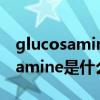 glucosamine是什么药多少钱一盒（glucosamine是什么药）