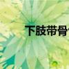 下肢带骨包括哪两块骨（下肢带骨）