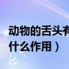 动物的舌头有什么作用二年级（动物的舌头有什么作用）