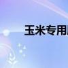 玉米专用肥能种菜吗（玉米专用肥）