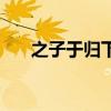 之子于归下一句（之子于归什么意思）