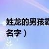 姓龙的男孩霸气名字两个字（姓龙的男孩霸气名字）