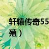 轩辕传奇55灵宠繁殖技巧（轩辕传奇灵宠繁殖）